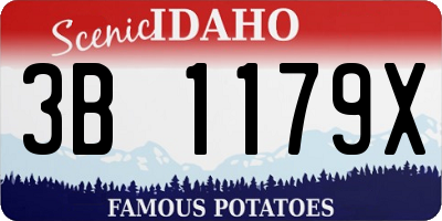 ID license plate 3B1179X