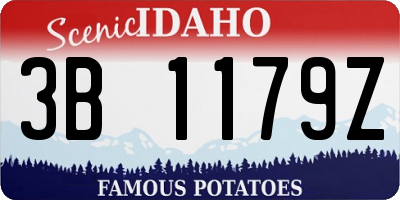 ID license plate 3B1179Z