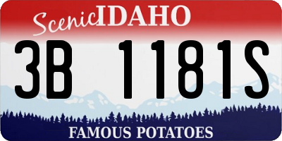 ID license plate 3B1181S