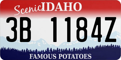 ID license plate 3B1184Z