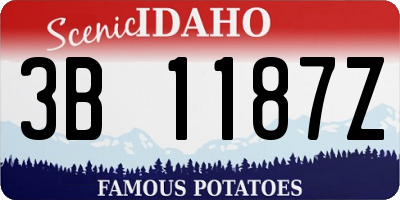 ID license plate 3B1187Z