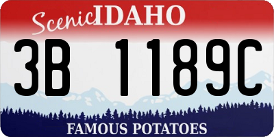 ID license plate 3B1189C