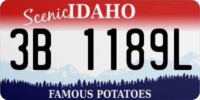 ID license plate 3B1189L