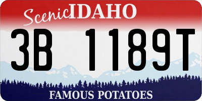 ID license plate 3B1189T