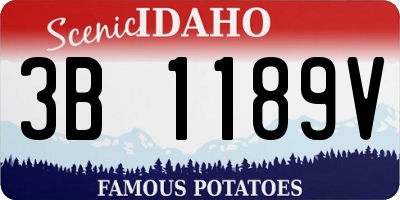 ID license plate 3B1189V