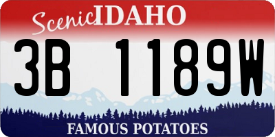 ID license plate 3B1189W