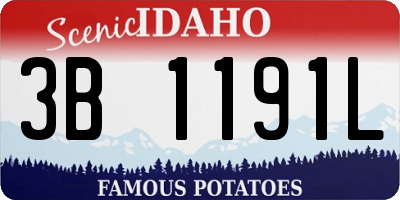ID license plate 3B1191L