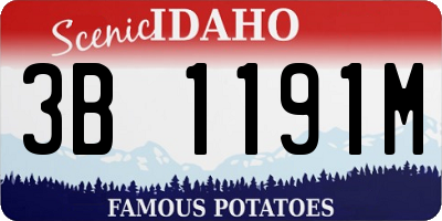 ID license plate 3B1191M