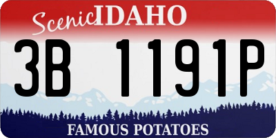 ID license plate 3B1191P