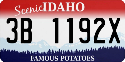 ID license plate 3B1192X