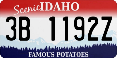 ID license plate 3B1192Z