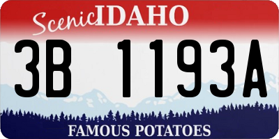 ID license plate 3B1193A