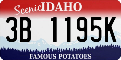 ID license plate 3B1195K