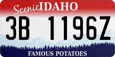 ID license plate 3B1196Z