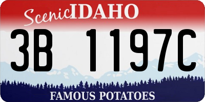 ID license plate 3B1197C