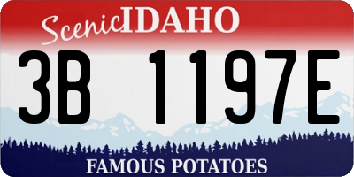 ID license plate 3B1197E