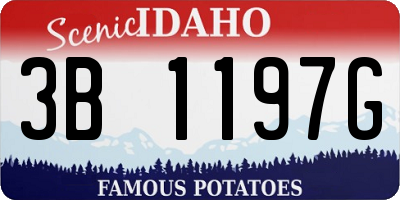 ID license plate 3B1197G