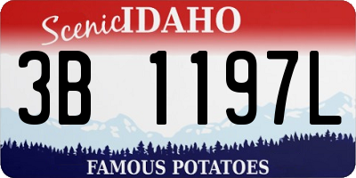 ID license plate 3B1197L