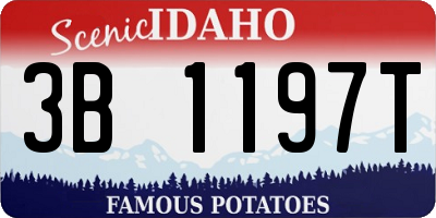 ID license plate 3B1197T