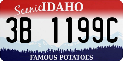 ID license plate 3B1199C