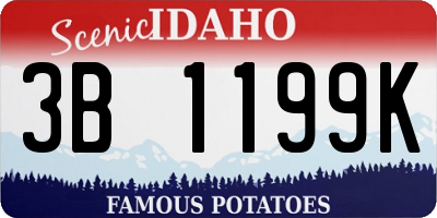 ID license plate 3B1199K