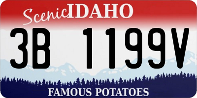 ID license plate 3B1199V