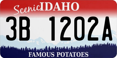 ID license plate 3B1202A