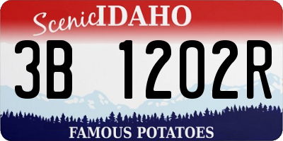 ID license plate 3B1202R