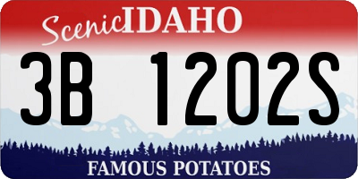 ID license plate 3B1202S