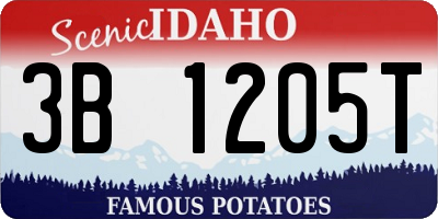 ID license plate 3B1205T