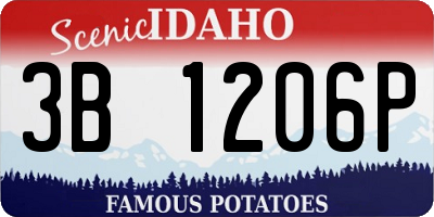 ID license plate 3B1206P