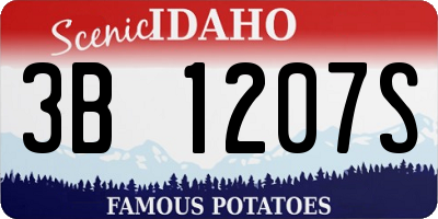 ID license plate 3B1207S