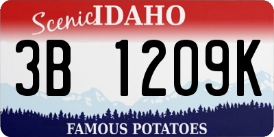 ID license plate 3B1209K