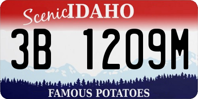 ID license plate 3B1209M