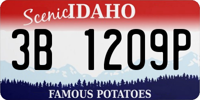 ID license plate 3B1209P