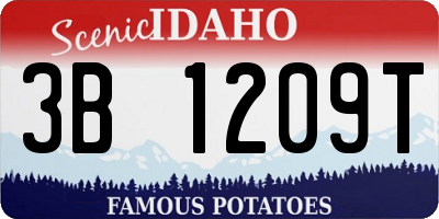 ID license plate 3B1209T