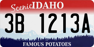 ID license plate 3B1213A