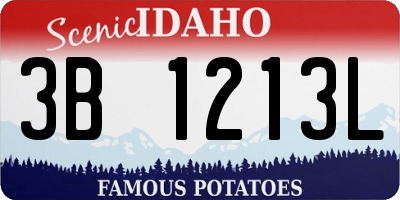 ID license plate 3B1213L