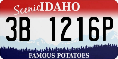 ID license plate 3B1216P