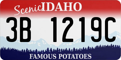 ID license plate 3B1219C