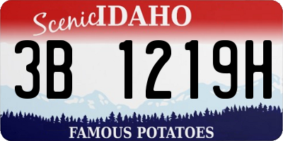 ID license plate 3B1219H