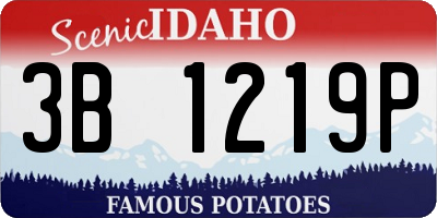 ID license plate 3B1219P
