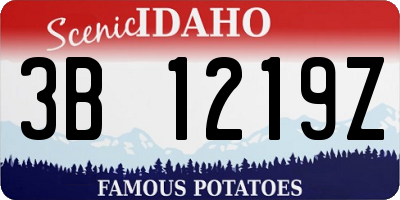 ID license plate 3B1219Z