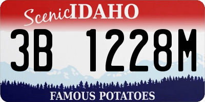 ID license plate 3B1228M