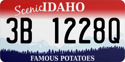 ID license plate 3B1228Q