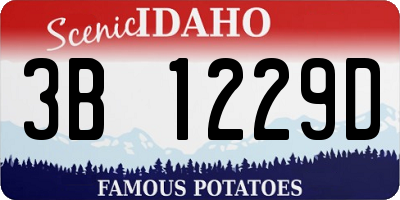 ID license plate 3B1229D