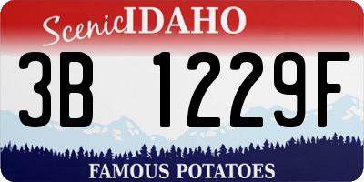 ID license plate 3B1229F