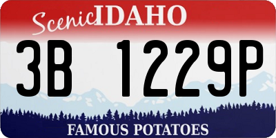 ID license plate 3B1229P