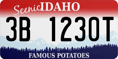 ID license plate 3B1230T