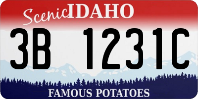ID license plate 3B1231C